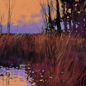 Evening Light at Templemill